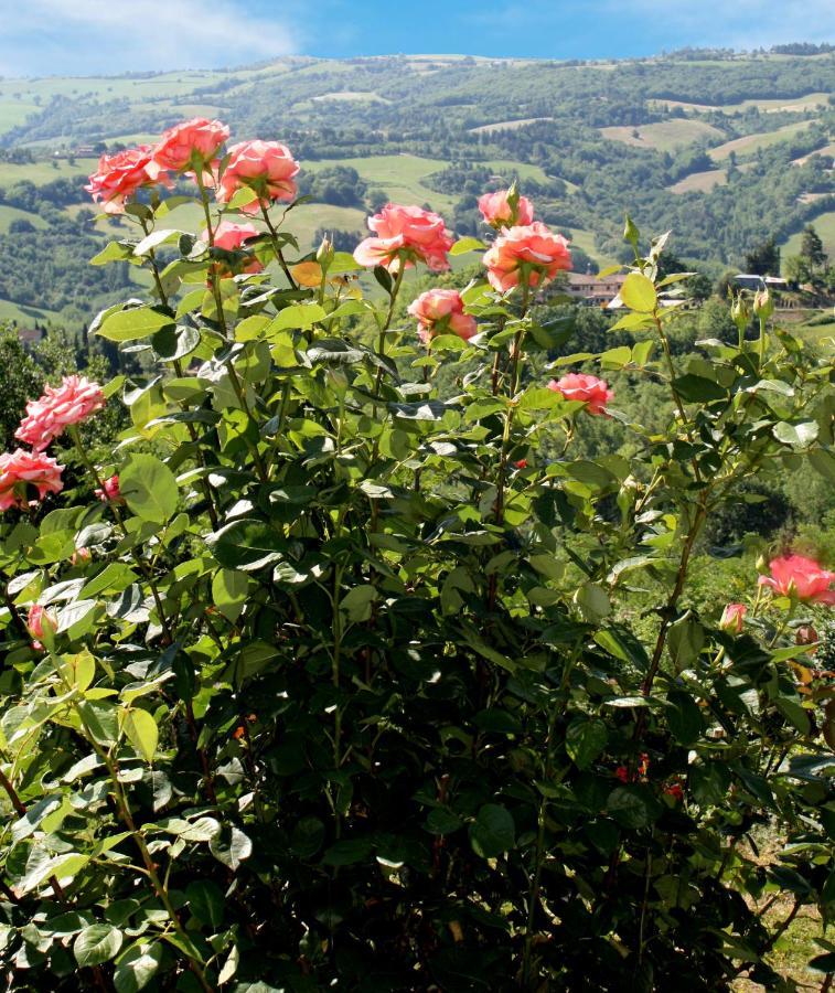 Country House Ca' Vernaccia Vendégház Urbino Kültér fotó