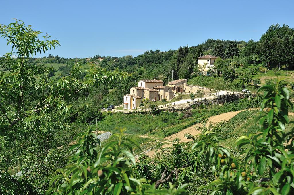 Country House Ca' Vernaccia Vendégház Urbino Kültér fotó